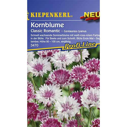 Kornblume Classic Romantic, mix interface.art Bild 1 Kornblume Classic Romantic, mix interface.image 1 interface.art 86259