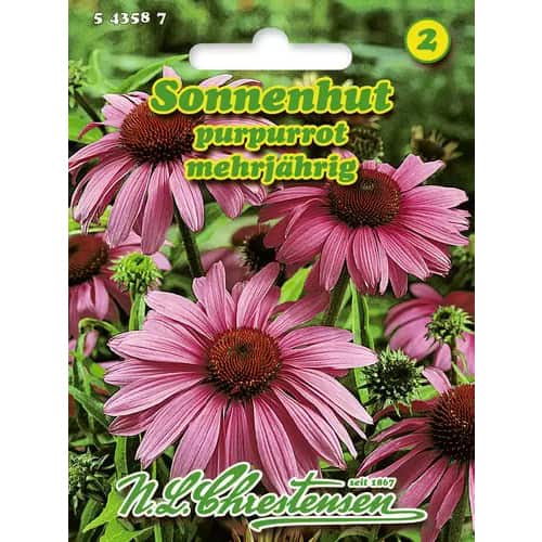 Sonnenhut Purpurrot interface.art Bild 1 Sonnenhut Purpurrot interface.image 1 interface.art 96443