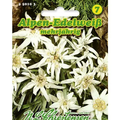 Edelweiss Chrestensen interface.art Bild 1 Edelweiss Chrestensen interface.image 1 interface.art 86163