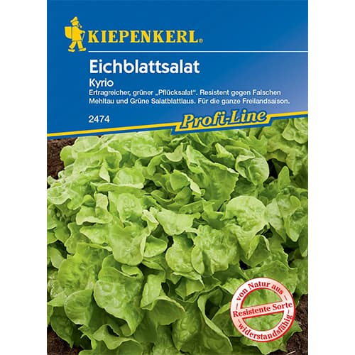 Eichblattsalat Kyrio interface.art Bild 1 Eichblattsalat Kyrio interface.image 1 interface.art 96609