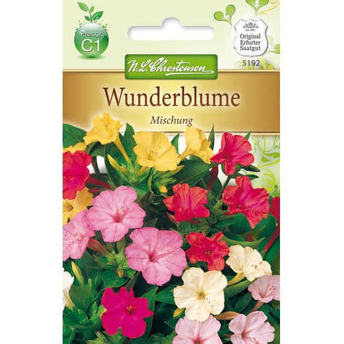 Wunderblume Mischung interface.art Bild 1 Wunderblume Mischung interface.image 1 interface.art 78924