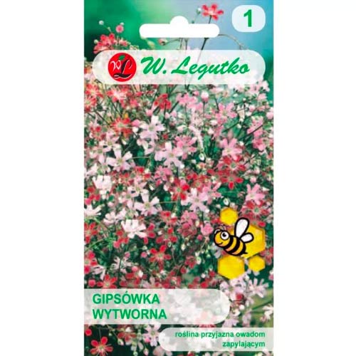 Einfarbiges Schleierkraut, mischung Legutko interface.image 1 interface.art 78557