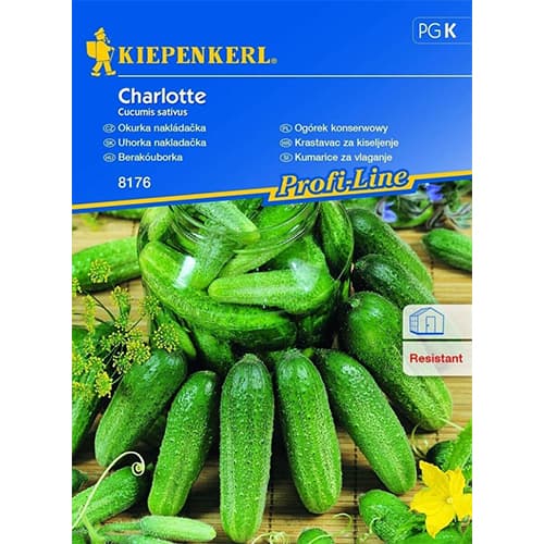 Einlegegurke Charlotte F1 interface.art Bild 1 Einlegegurke Charlotte F1 interface.image 1 interface.art 86442