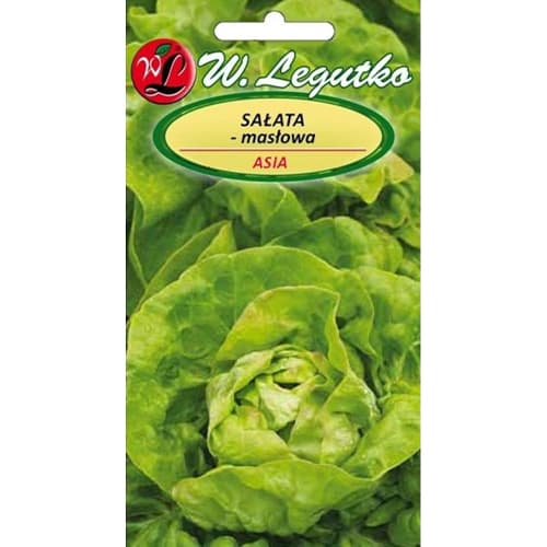 Eissalat Asia interface.art Bild 1 Eissalat Asia interface.image 1 interface.art 96814