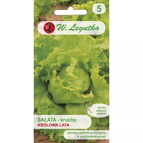Eissalat Krolowa Lata interface.art Bild 1 Eissalat Krolowa Lata interface.image 1 interface.art 78499
