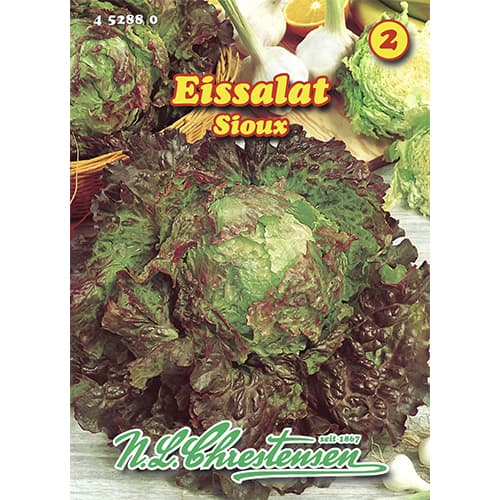 Eissalat Sioux interface.art Bild 1 Eissalat Sioux interface.image 1 interface.art 96471