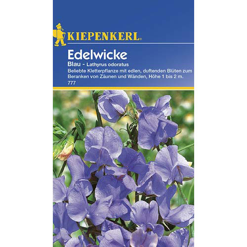 Edelwicke Blau interface.art Bild 1 Edelwicke Blau interface.image 1 interface.art 77414