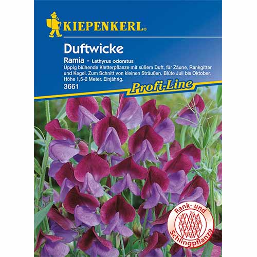 Duftwicke Ramia interface.art Bild 1 Duftwicke Ramia interface.image 1 interface.art 96531