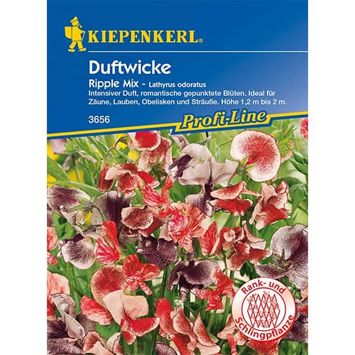Duftwicke Ripple Mix interface.art Bild 1 Duftwicke Ripple Mix interface.image 1 interface.art 86262
