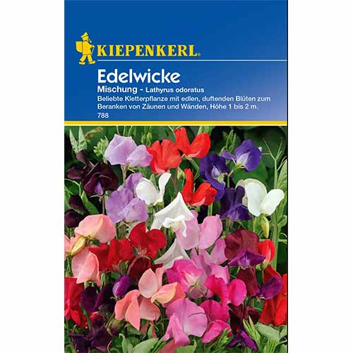 Edelwicke Mishung interface.art Bild 1 Edelwicke Mishung interface.image 1 interface.art 96532