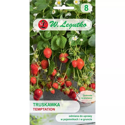 Erdbeere Temptation interface.art Bild 1 Erdbeere Temptation interface.image 1 interface.art 69548