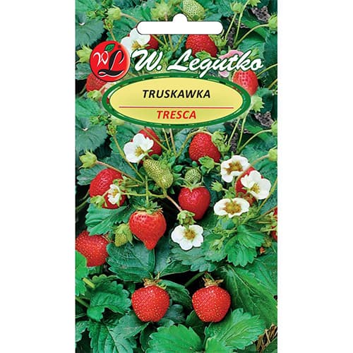 Erdbeere Tresca interface.art Bild 1 Erdbeere Tresca interface.image 1 interface.art 86914