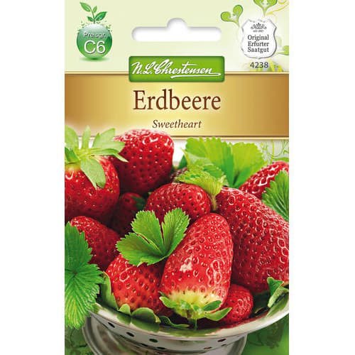 Erdbeere Sweetheart interface.art Bild 1 Erdbeere Sweetheart interface.image 1 interface.art 78784
