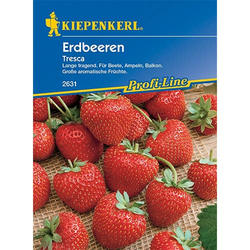 Erdbeeren Toscana interface.art Bild 1 Erdbeeren Toscana interface.image 1 interface.art 86448