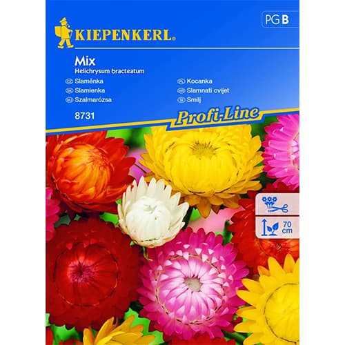 Strohblume Mix interface.art Bild 1 Strohblume Mix interface.image 1 interface.art 96542