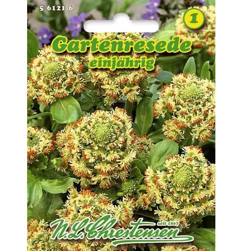 Gartenresede interface.image 1 interface.art 96441