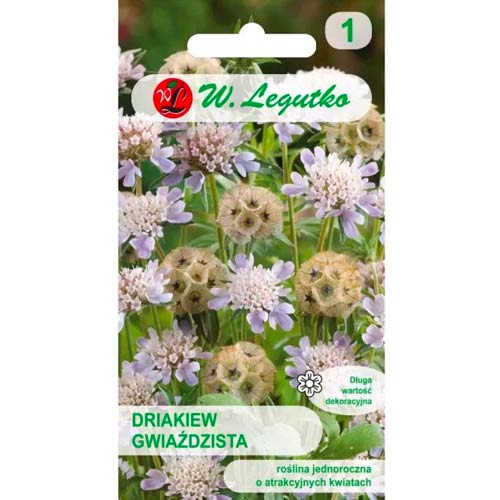 Gartenscabiose sternenklar mischung Legutko interface.image 1 interface.art 96697