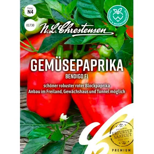 Gemüsepaprika Bendigo F1 Chrestensen  interface.art Bild 1 Gemüsepaprika Bendigo F1 Chrestensen  interface.image 1 interface.art 50047