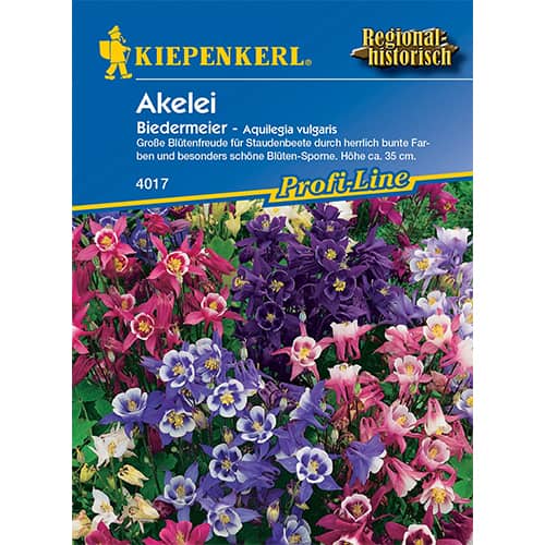 Akelei Biedermeier interface.art Bild 1 Akelei Biedermeier interface.image 1 interface.art 86231