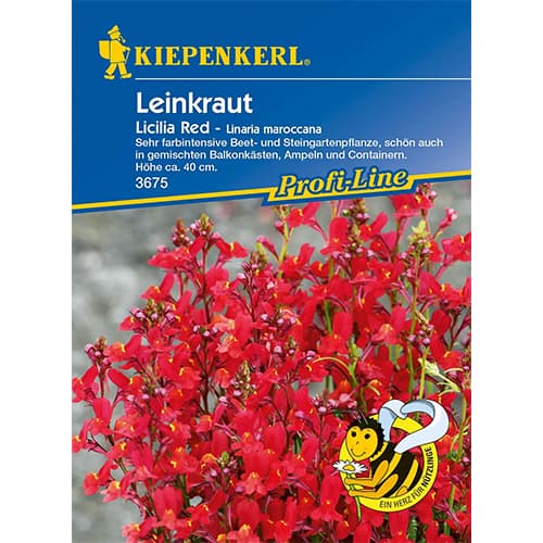 Leinkraut Licilia Red interface.art Bild 1 Leinkraut Licilia Red interface.image 1 interface.art 96557