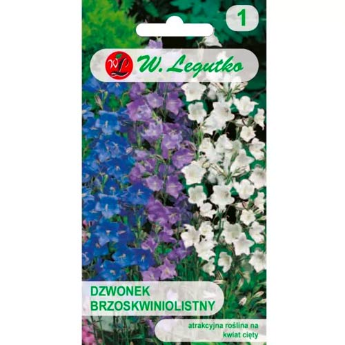 Glockenblume pfirsichblatt mischung Legutko interface.art Bild 1 Glockenblume pfirsichblatt mischung Legutko interface.image 1 interface.art 50094