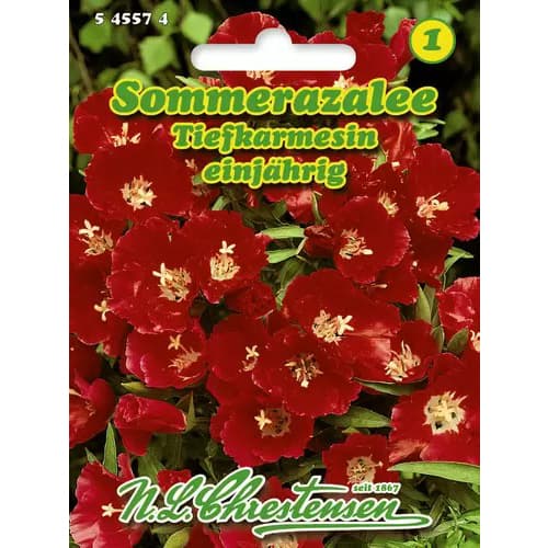Sommerazalee Tiefkarmesin interface.image 1 interface.art 96425