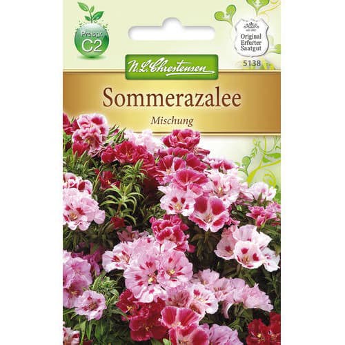 Sommerazalee Mischung interface.art Bild 1 Sommerazalee Mischung interface.image 1 interface.art 78911