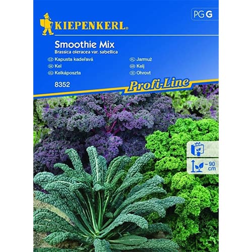 Grünkohl Smoothie Mix interface.art Bild 1 Grünkohl Smoothie Mix interface.image 1 interface.art 87279