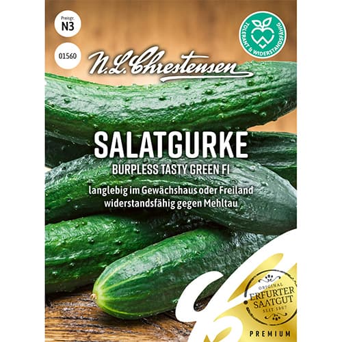 Salatgurke Burpless Tasty Green F1 interface.art Bild 1 Salatgurke Burpless Tasty Green F1 interface.image 1 interface.art 86113