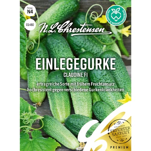 Einlegegurke Claudine F1 interface.art Bild 1 Einlegegurke Claudine F1 interface.image 1 interface.art 86034