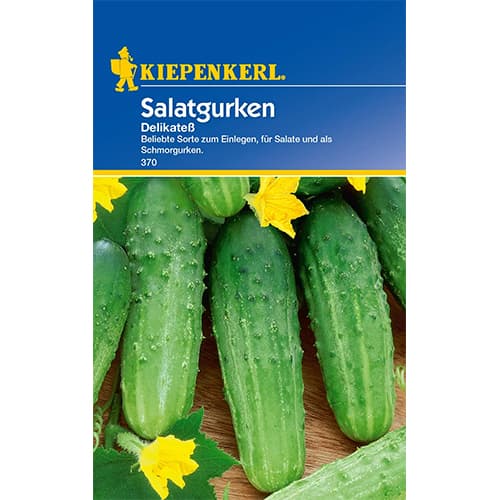 Salatgurke Delikatess interface.art Bild 1 Salatgurke Delikatess interface.image 1 interface.art 96668