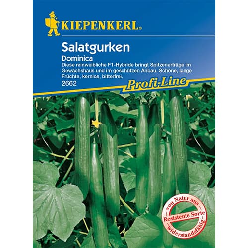 Salatgurke Dominica F1 interface.art Bild 1 Salatgurke Dominica F1 interface.image 1 interface.art 96669