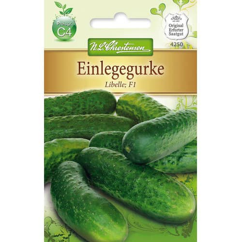 Einlegegurke Libelle F1 interface.art Bild 1 Einlegegurke Libelle F1 interface.image 1 interface.art 78786