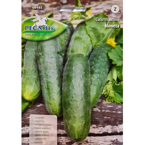 Gurke Moneta interface.art Bild 1 Gurke Moneta interface.image 1 interface.art 96670