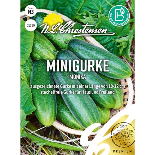 Minigurke Monika interface.art Bild 1 Minigurke Monika interface.image 1 interface.art 86066