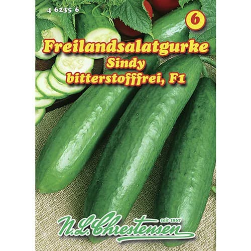 Freilandsalatgurke Sindy interface.art Bild 1 Freilandsalatgurke Sindy interface.image 1 interface.art 96474