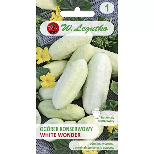 Gurke White Wonder F1 interface.art Bild 1 Gurke White Wonder F1 interface.image 1 interface.art 78487