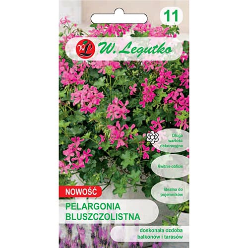 Hängende Geranie Fuchsia F1 interface.art Bild 1 Hängende Geranie Fuchsia F1 interface.image 1 interface.art 78631