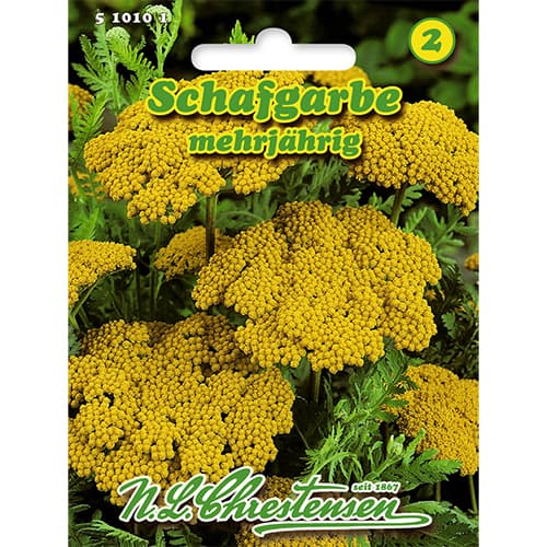 Schafgarbe mehrjährig interface.art Bild 1 Schafgarbe mehrjährig interface.image 1 interface.art 86114