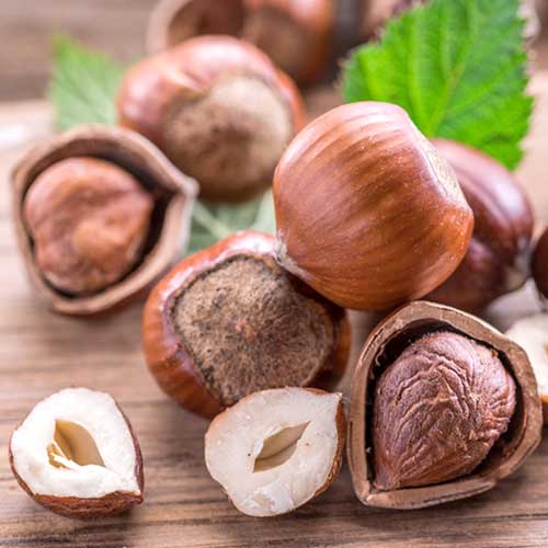 Haselnuss Ennis interface.image 1 interface.art 6934