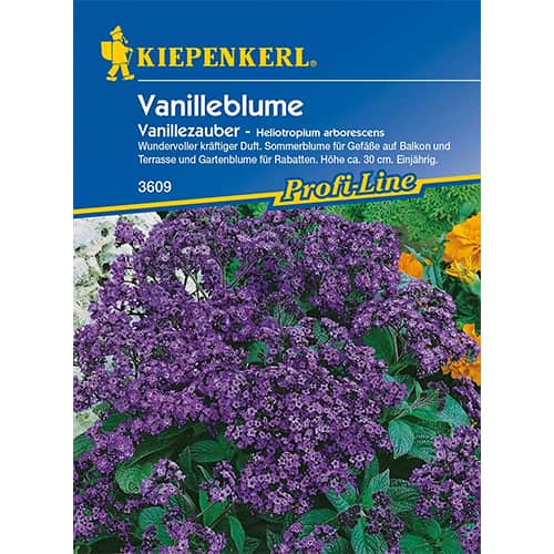 Vanilleblume Vanillezauber interface.art Bild 1 Vanilleblume Vanillezauber interface.image 1 interface.art 96587