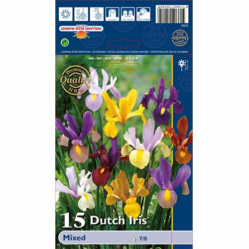 Holländische Iris, farbmischung interface.art Bild 1 Holländische Iris, farbmischung interface.image 1 interface.art 67603
