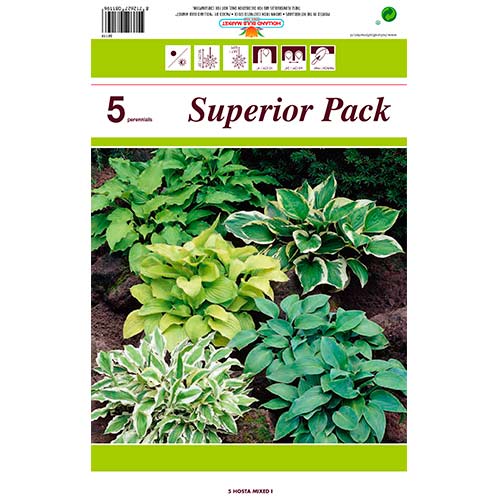 Hosta, Farbmischung interface.art Bild 1 Hosta, Farbmischung interface.image 1 interface.art 76460