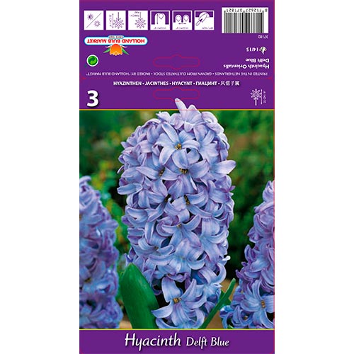 Hyazinthe Delft Blue interface.image 1 interface.art 67359