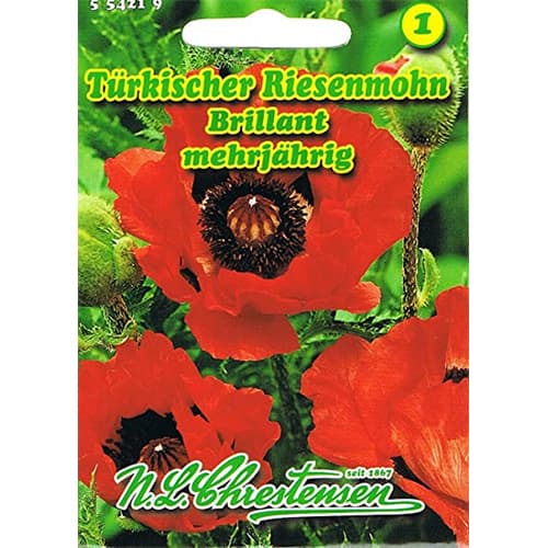 Islandmohn Brillant interface.art Bild 1 Islandmohn Brillant interface.image 1 interface.art 78831
