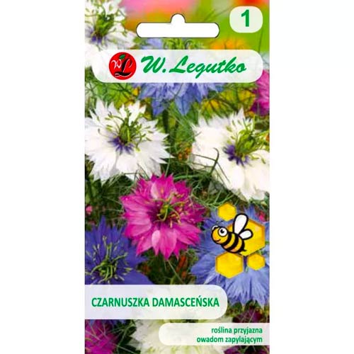 Jungfer im Grünen mischung Legutko interface.art Bild 1 Jungfer im Grünen mischung Legutko interface.image 1 interface.art 50090