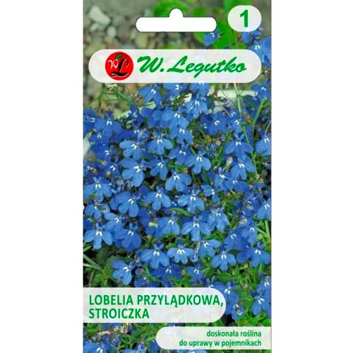 Kap-Lobelie (Orchidee) blau Legutko interface.image 1 interface.art 78573