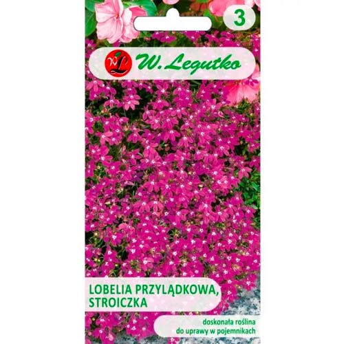 Kap-Lobelie (Stroichka) karminrot Legutko interface.image 1 interface.art 78572