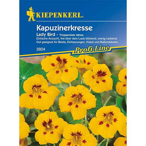 Kapuzinerkresse Lady Bird interface.art Bild 1 Kapuzinerkresse Lady Bird interface.image 1 interface.art 87751