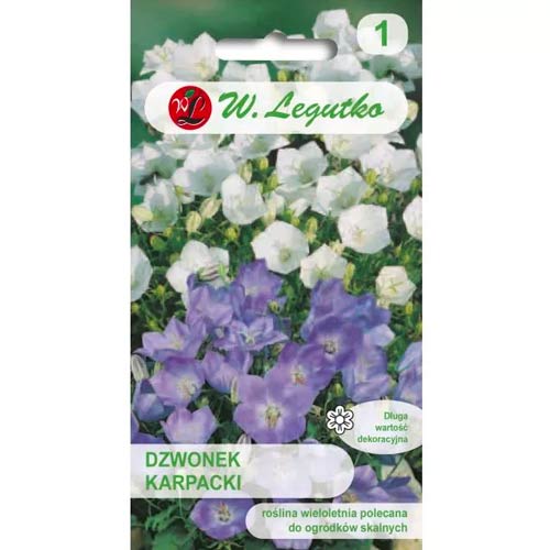 Karpatenglockenblume, Hybride Legutko interface.art Bild 1 Karpatenglockenblume, Hybride Legutko interface.image 1 interface.art 50095